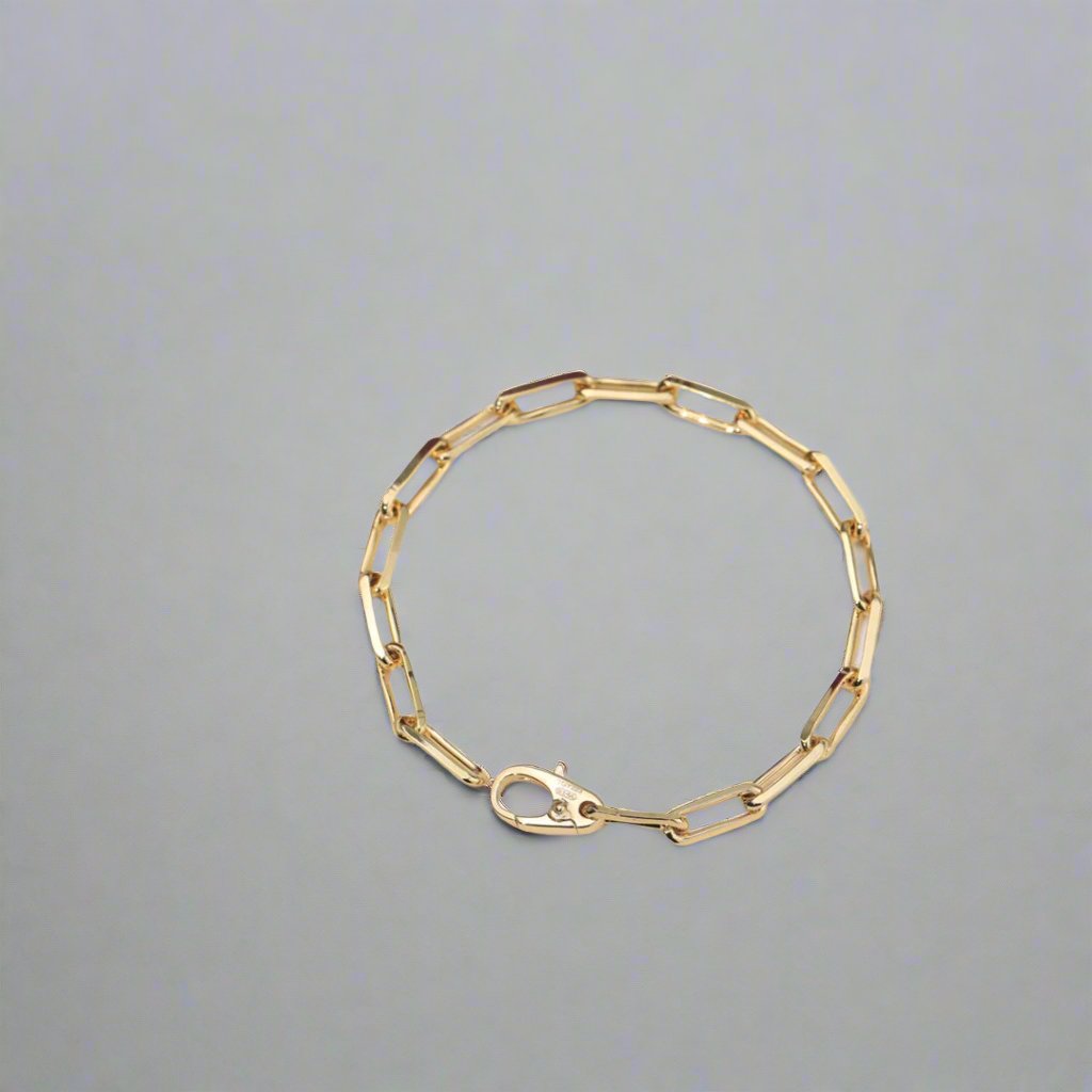 18K Santos De Bracelet